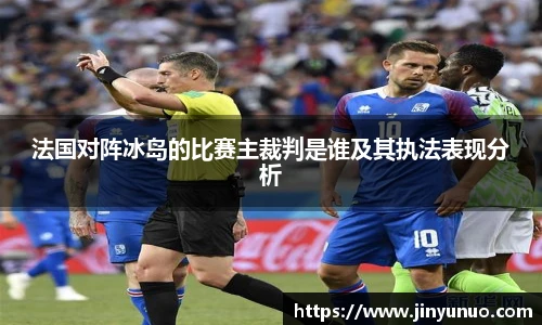 法国对阵冰岛的比赛主裁判是谁及其执法表现分析